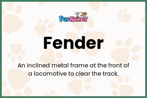 Fender dog name meaning