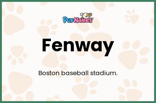 Fenway dog name meaning