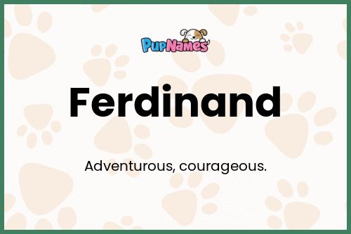 Ferdinand dog name meaning