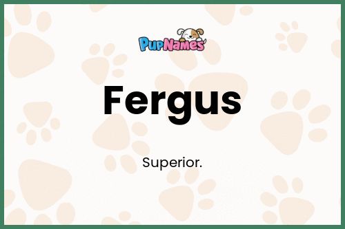Fergus dog name meaning