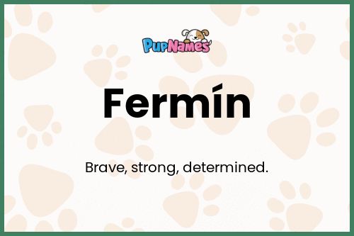 Fermín dog name meaning