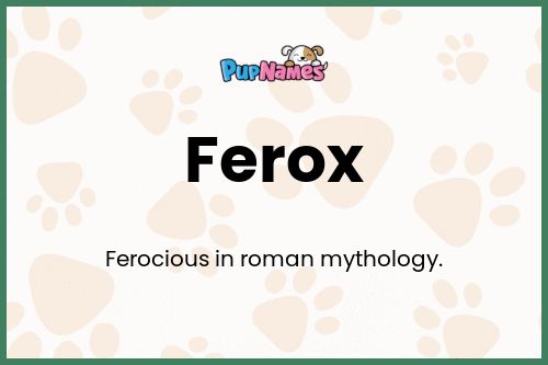 Ferox dog name meaning