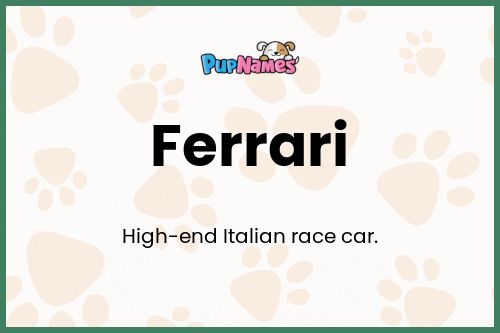 Ferrari dog name meaning