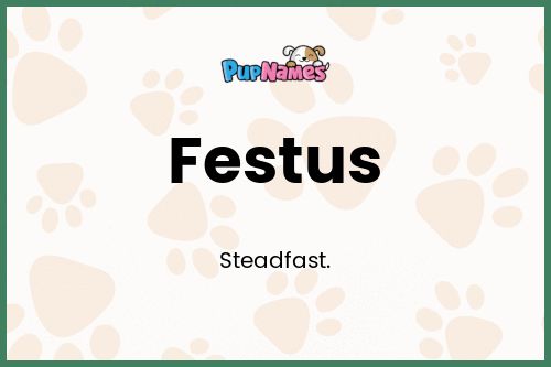 Festus dog name meaning