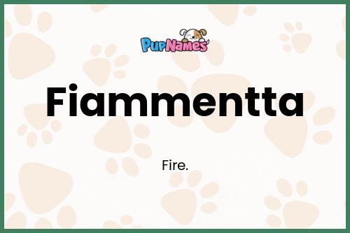 Fiammentta dog name meaning