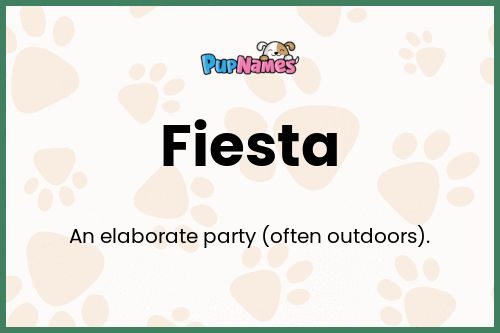 Fiesta dog name meaning