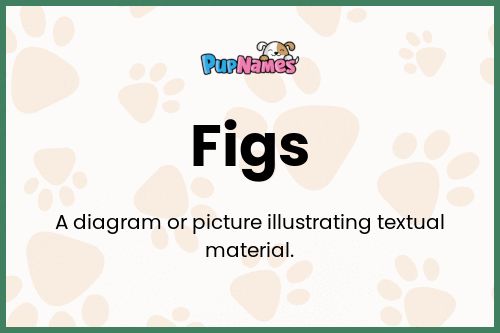 Figs dog name meaning