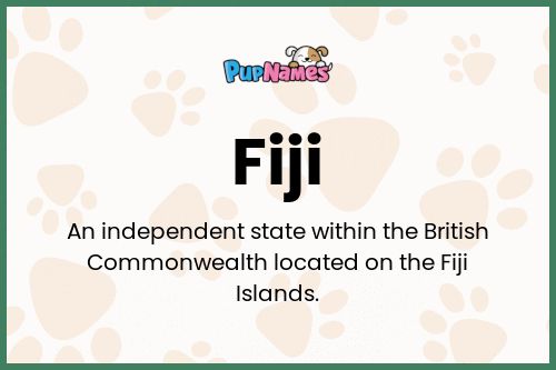 Fiji dog name meaning