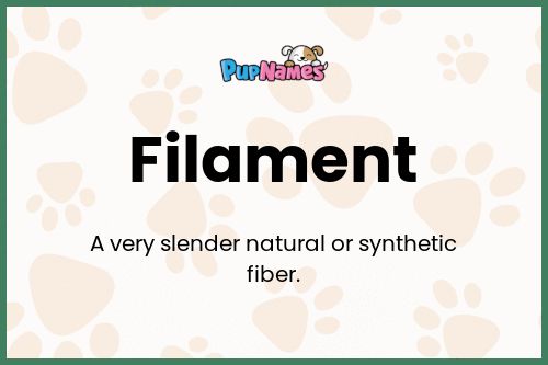 Filament dog name meaning