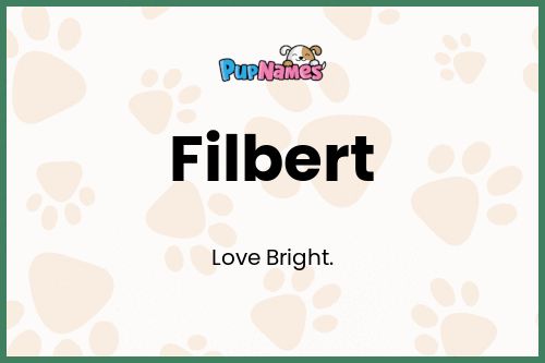 Filbert dog name meaning