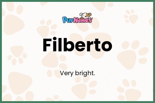 Filberto dog name meaning