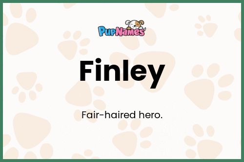 Finley dog name meaning