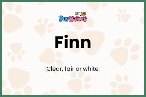 Finn dog name meaning