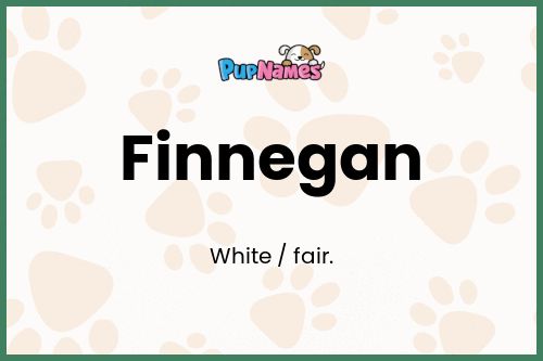 Finnegan dog name meaning