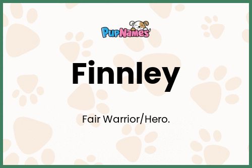 Finnley dog name meaning