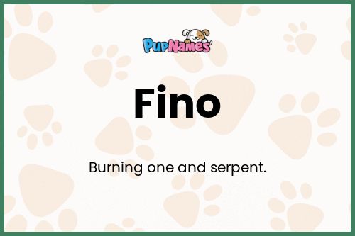 Fino dog name meaning