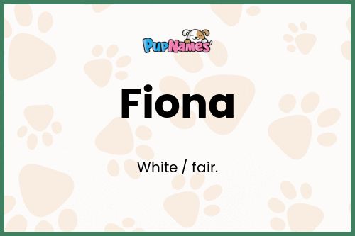 Fiona dog name meaning