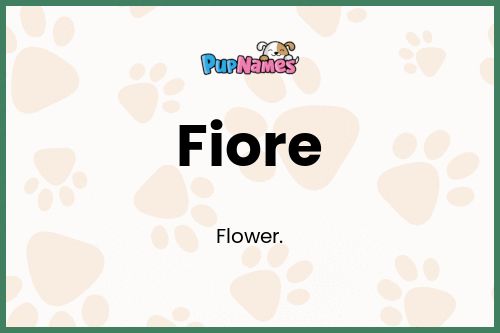 Fiore dog name meaning