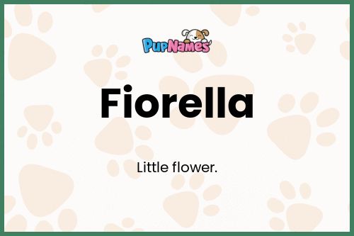 Fiorella dog name meaning