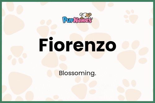 Fiorenzo dog name meaning