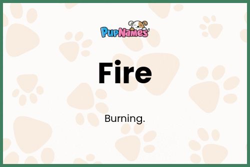 Fire dog name meaning