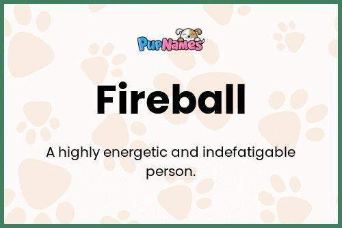 Fireball dog name meaning