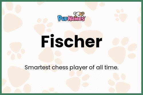 Fischer dog name meaning