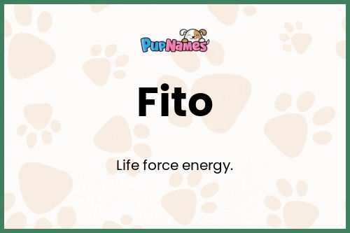 Fito dog name meaning