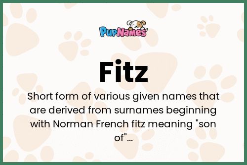 Fitz dog name meaning