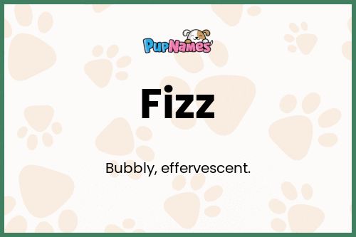 Fizz dog name meaning