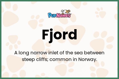 Fjord dog name meaning