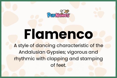 Flamenco dog name meaning