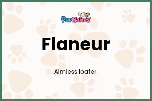 Flaneur dog name meaning