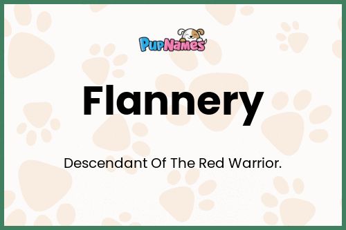 Flannery dog name meaning