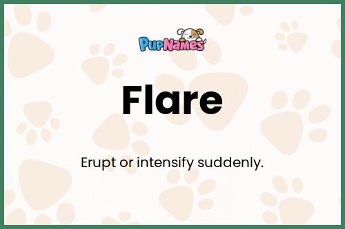 Flare dog name meaning