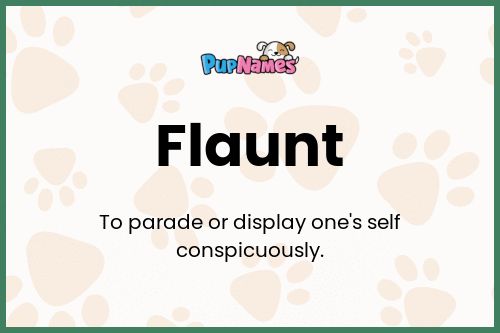 Flaunt dog name meaning