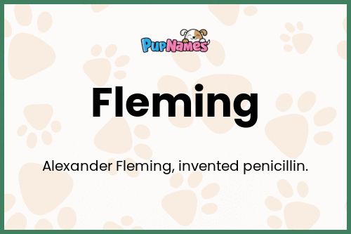 Fleming dog name meaning