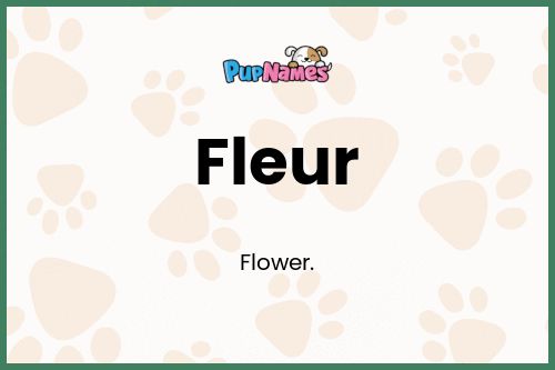 Fleur dog name meaning