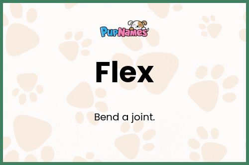 Flex dog name meaning