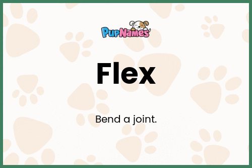 Flex dog name meaning