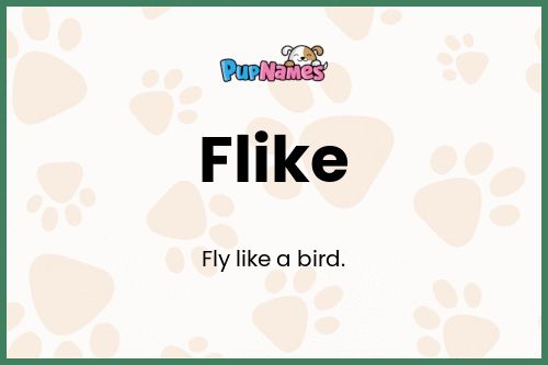 Flike dog name meaning