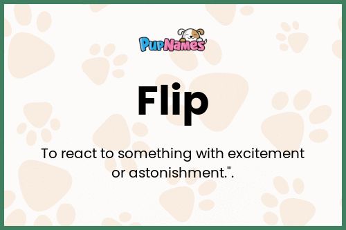 Flip dog name meaning