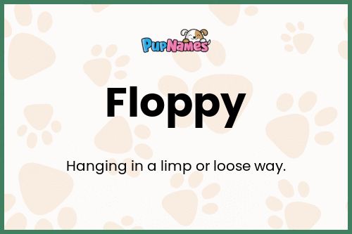 Floppy dog name meaning