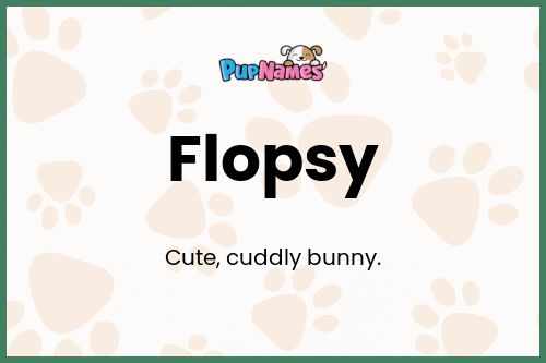 Flopsy dog name meaning