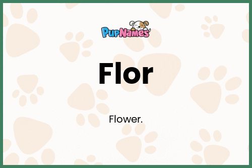Flor dog name meaning