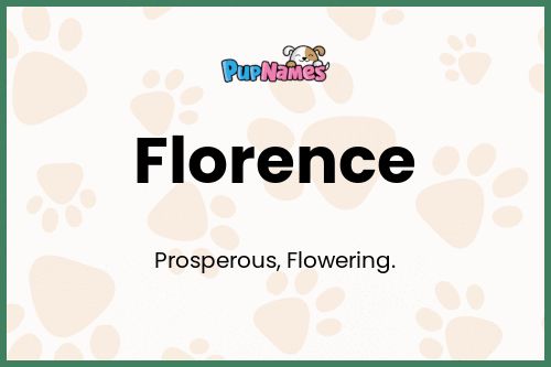 Florence dog name meaning