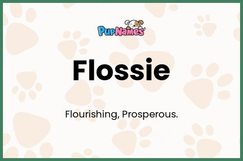 Flossie dog name meaning