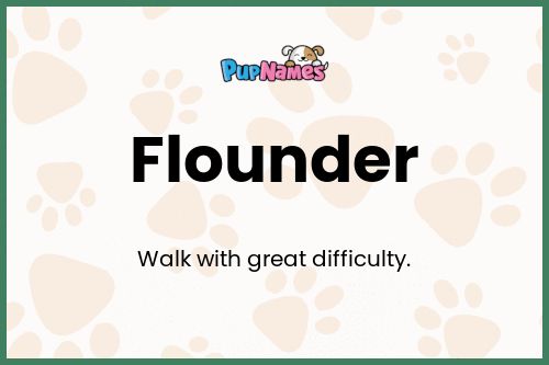Flounder dog name meaning