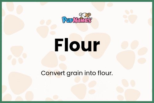 Flour dog name meaning