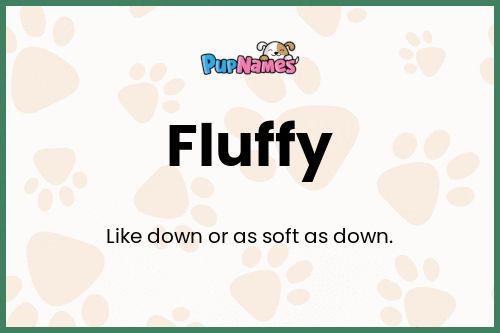 Fluffy dog name meaning